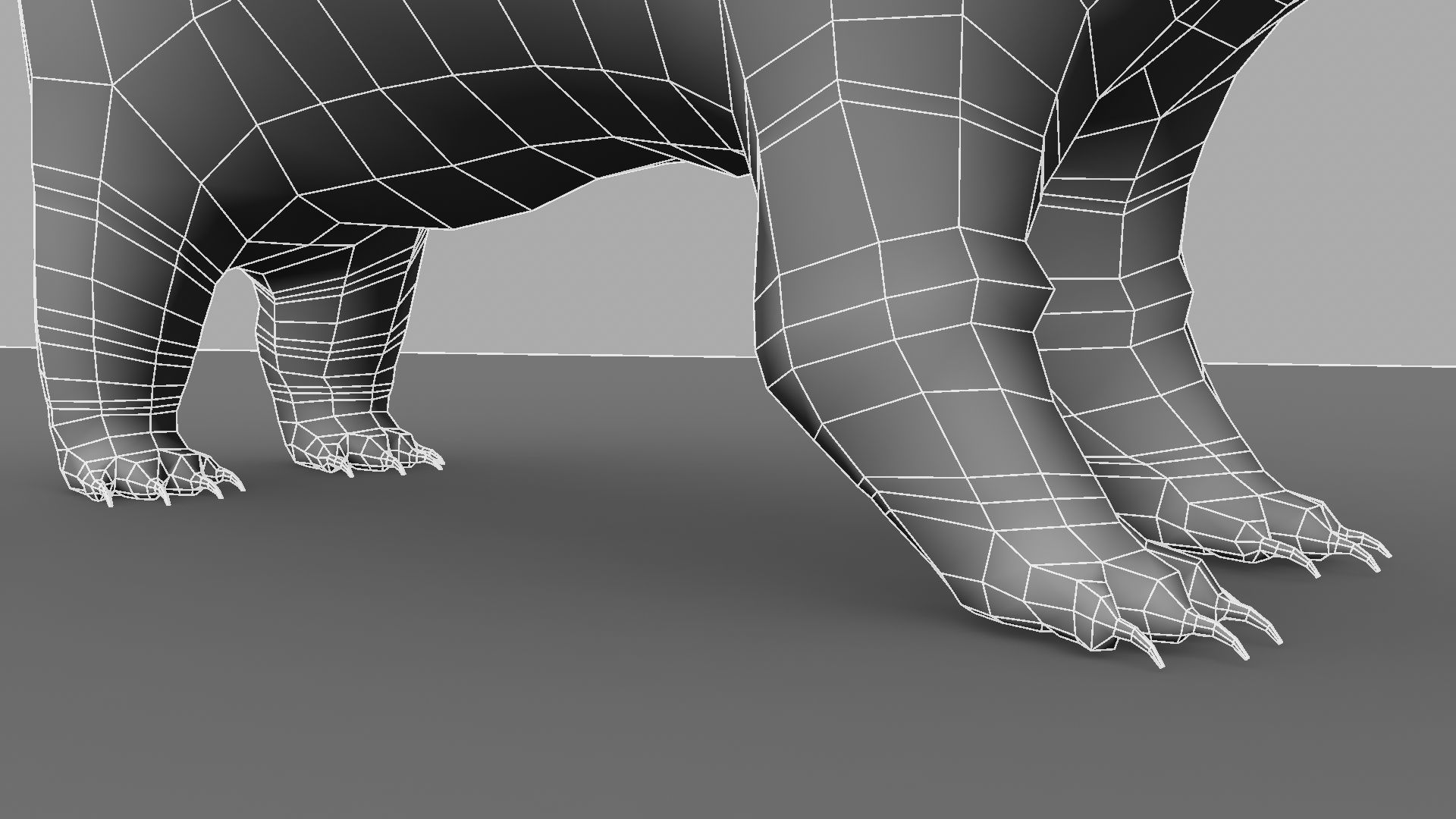 3D Bear polar 3D model_19