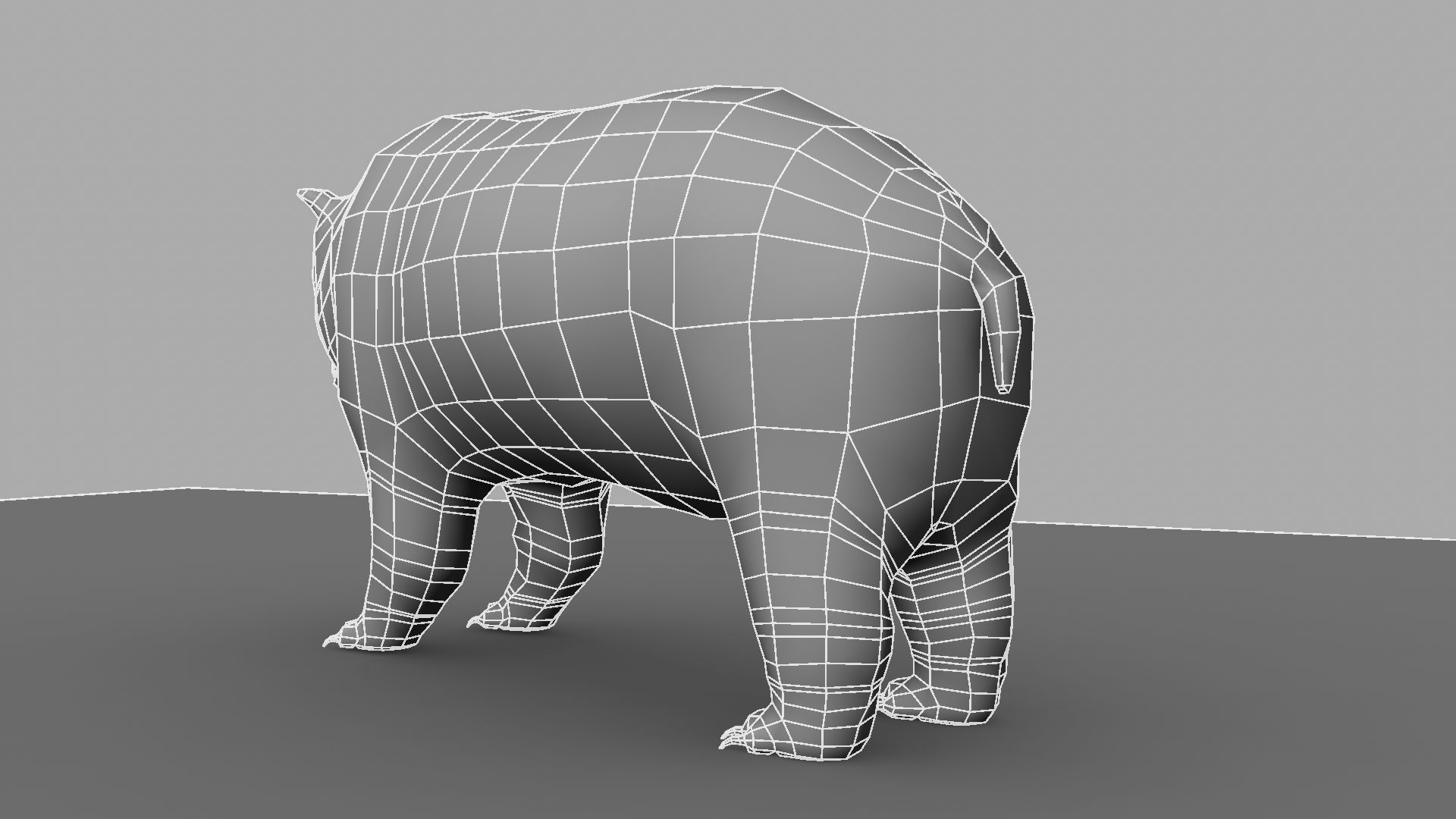 3D Bear polar 3D model_12