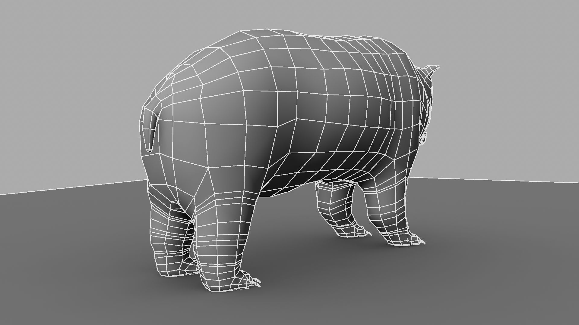 3D Bear polar 3D model_13