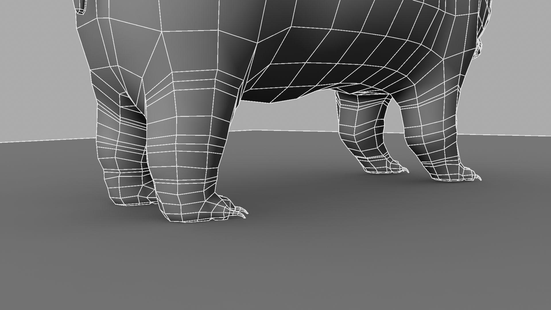 3D Bear polar 3D model_25