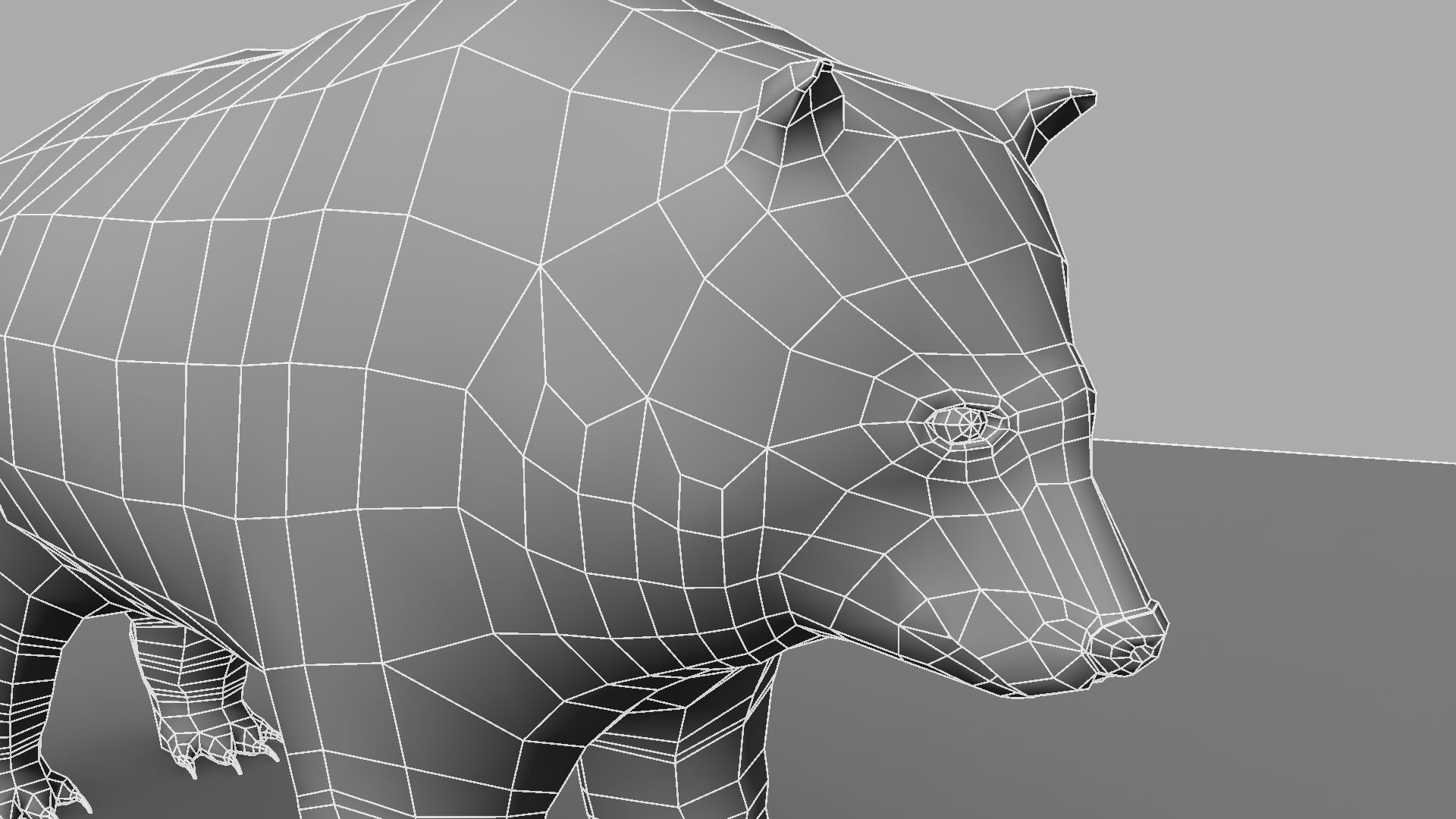 3D Bear polar 3D model_27