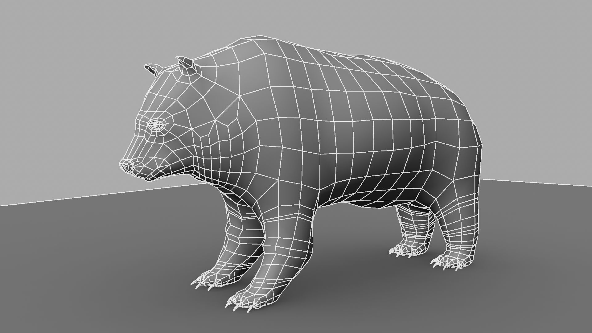 3D Bear polar 3D model_15