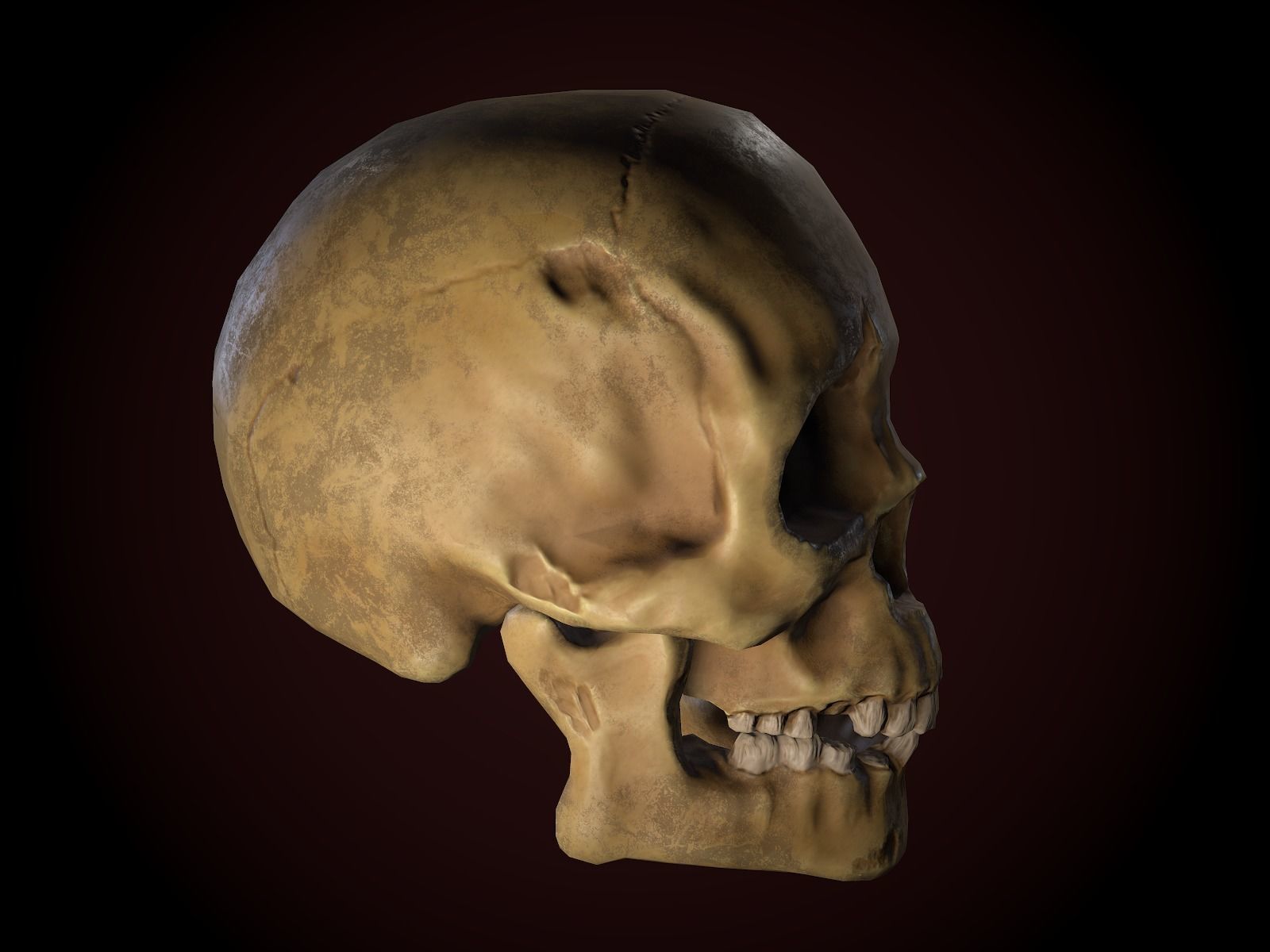 Dirty Skull PBR Low-poly 3D model_3