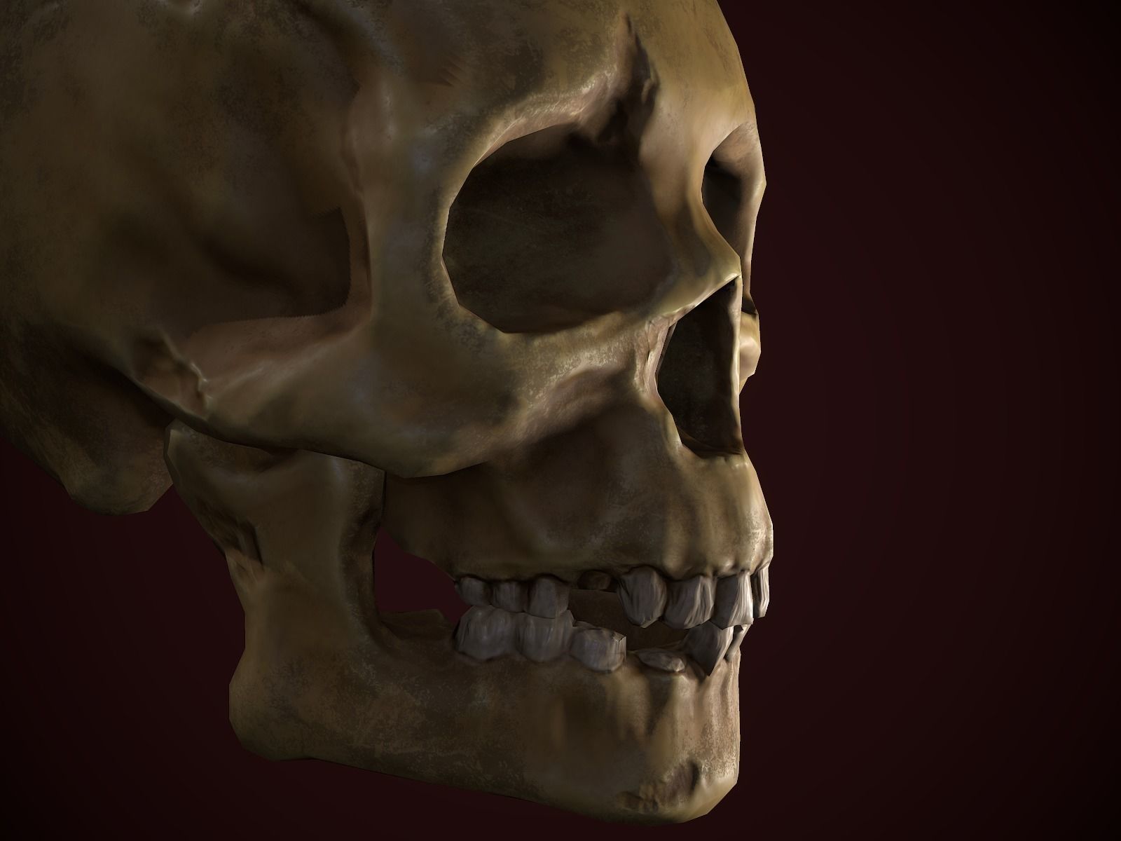 Dirty Skull PBR Low-poly 3D model_5