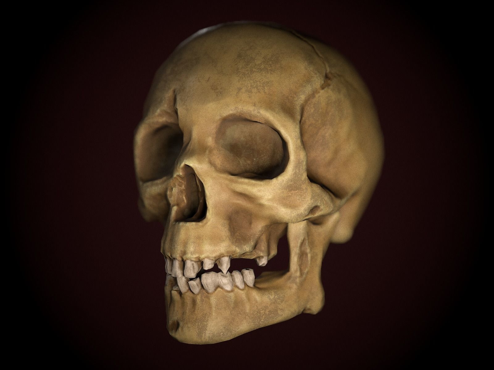 Dirty Skull PBR Low-poly 3D model_1