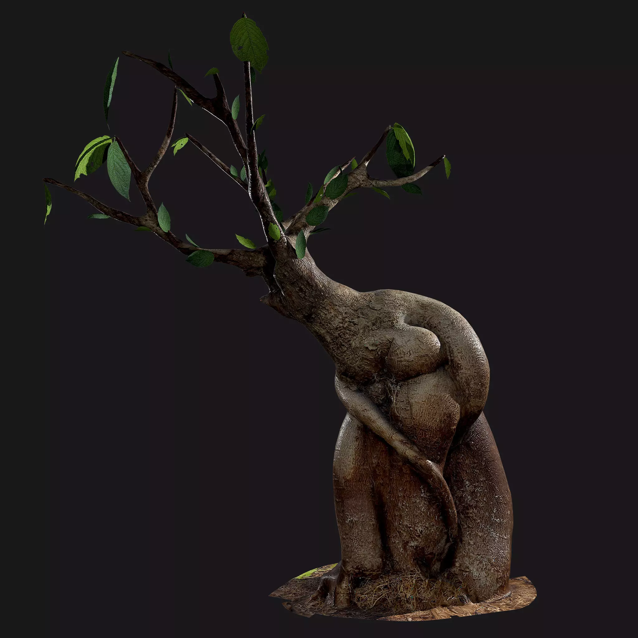Bonsai tree - Low Poly - Game ready Low-poly 3D model Low-poly 3D model_0