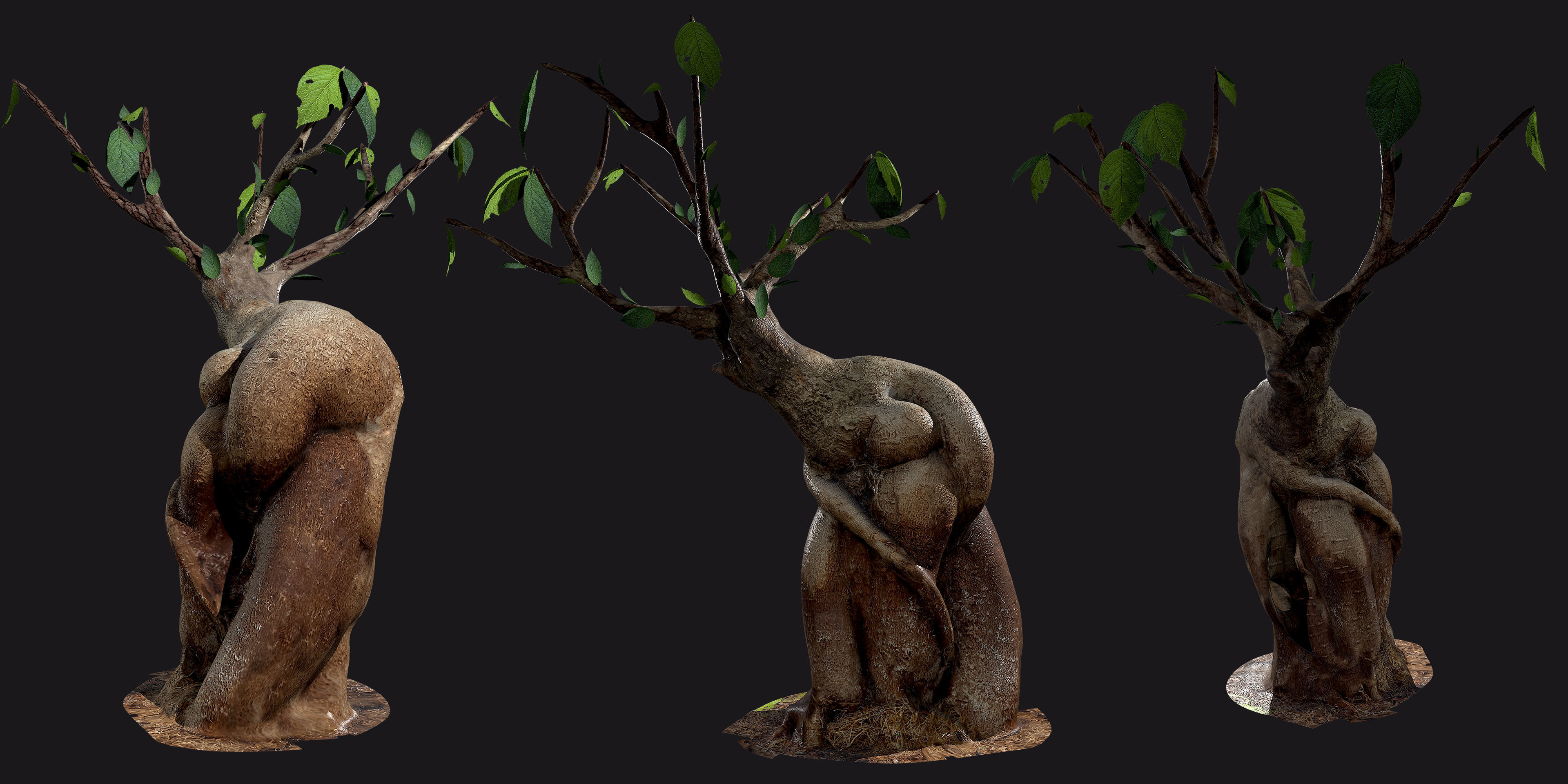 Bonsai tree - Low Poly - Game ready Low-poly 3D model Low-poly 3D model_1