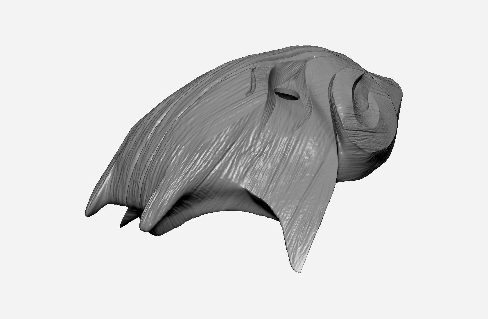 Juggernaut Boar tree mask Free 3D print model_8