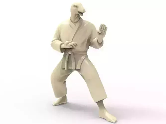 Snake Kokutsu Dachi Stance