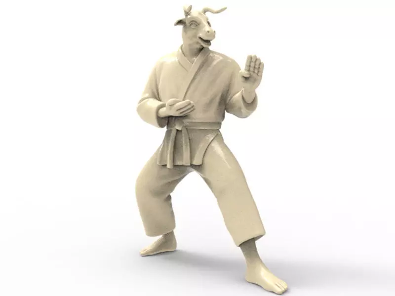 Ox Kokutsu Dachi Stance 3D print model_0