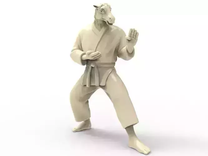 Horse Kokutsu Dachi Stance