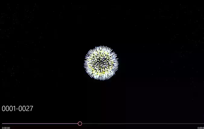 Firework video of dandelion 3D model