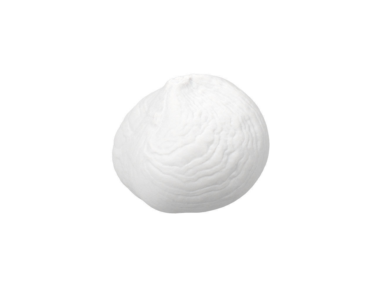 Photorealistic Hazelnut Kernel 3 3D model_7