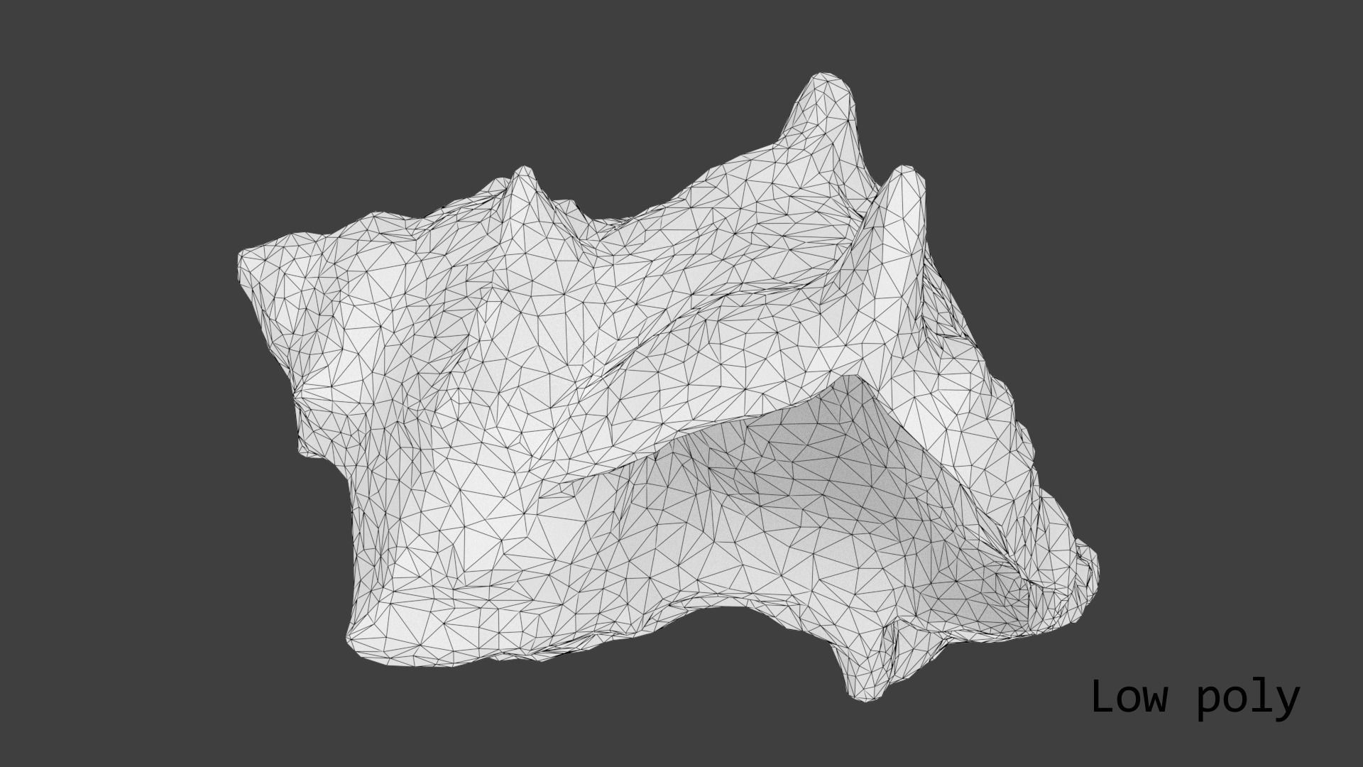 Sea shell brown 3d model Low-poly 3D model_23