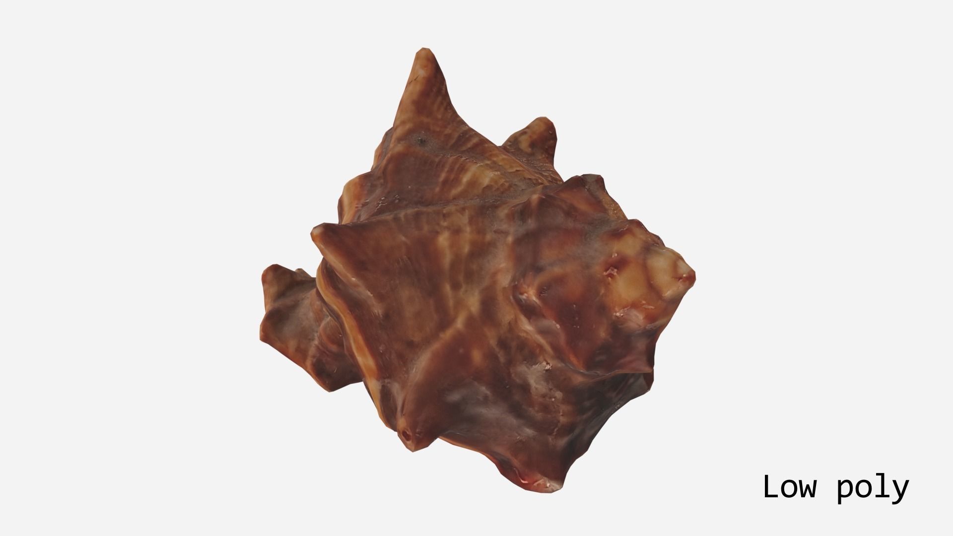 Sea shell brown 3d model Low-poly 3D model_16