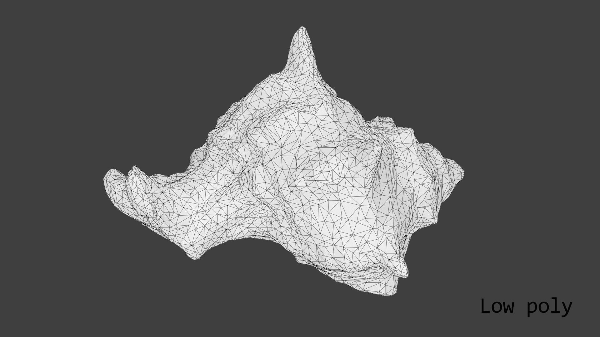 Sea shell brown 3d model Low-poly 3D model_21