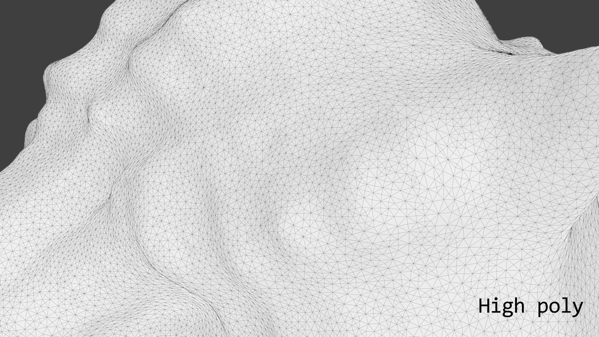 Sea shell brown 3d model Low-poly 3D model_20