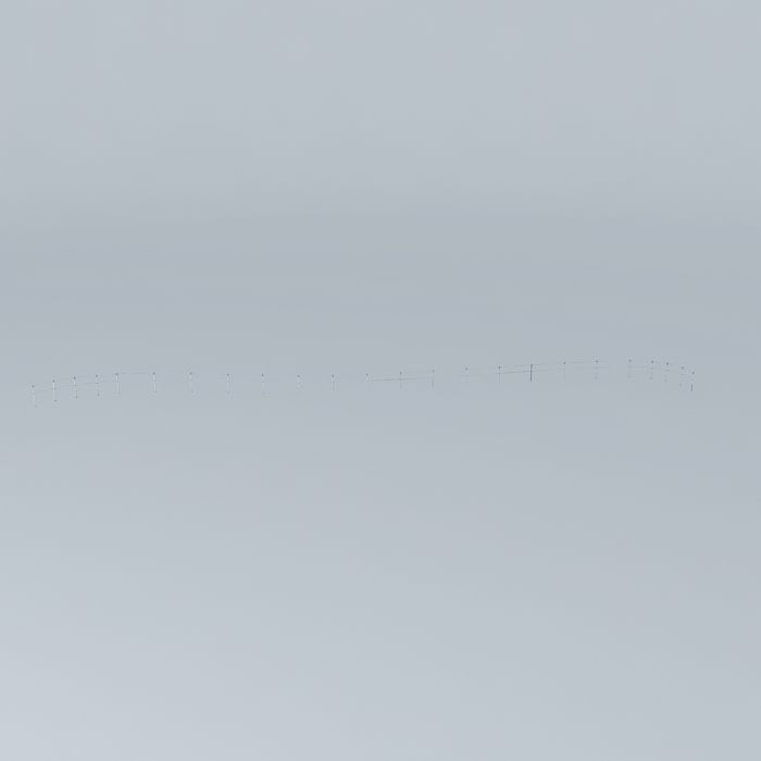 deck rope Free 3D model_2