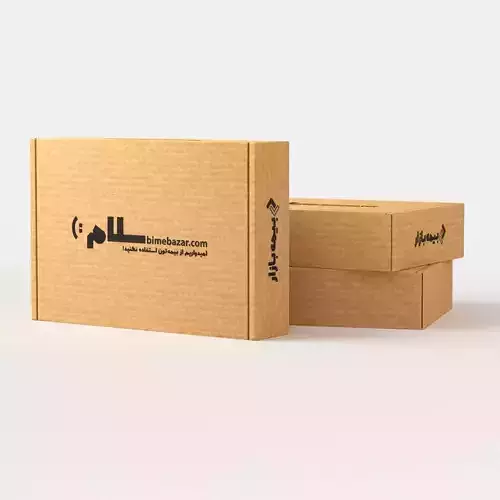 Cardboard Package Low-poly 3D model