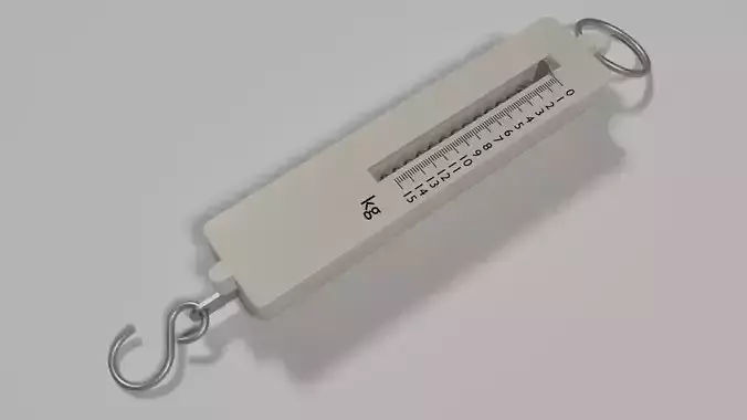 spring weight 3D model