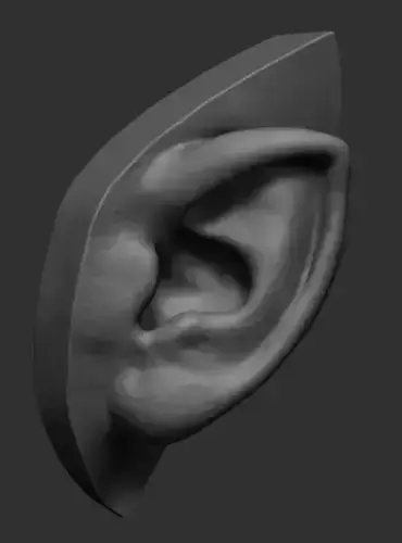 Elf Ear Printable 3D print model