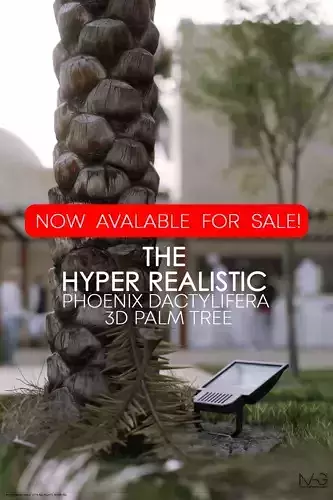 Hyper-realistic Palm Tree