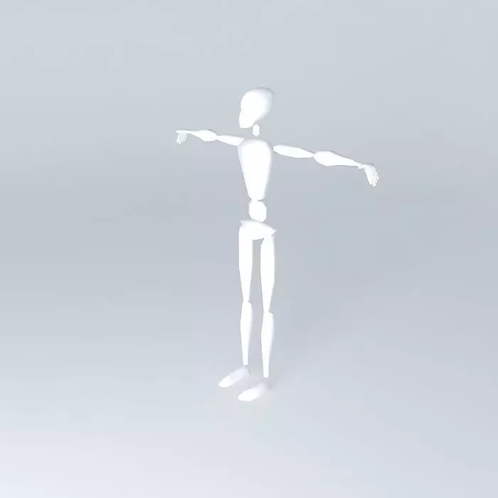 3D body base Free 3D model_0
