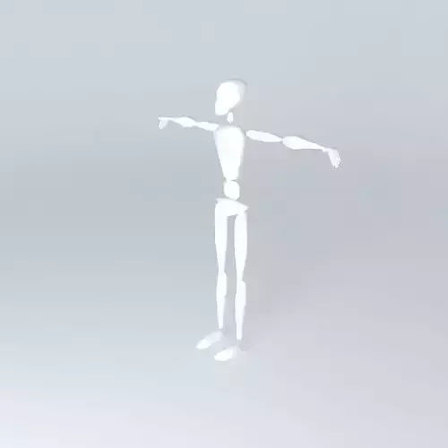 3D body base Free 3D model