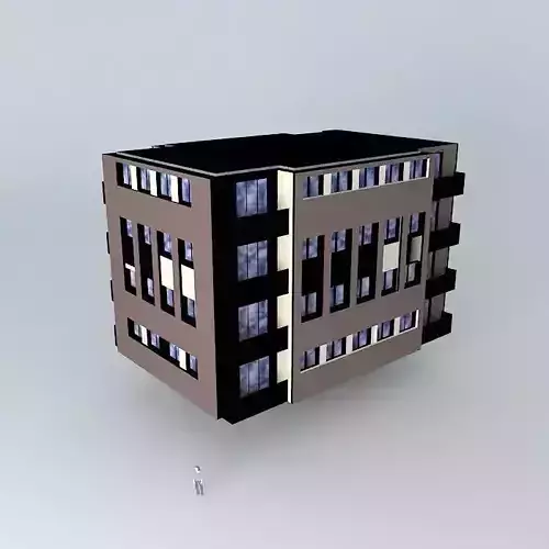 Collectif Petit RENOVATED