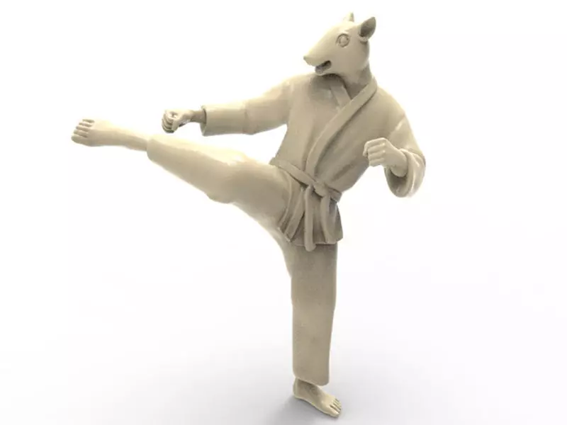Rat Roundhouse Kick 3D print model_0