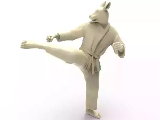 Rabbit Roundhouse Kick