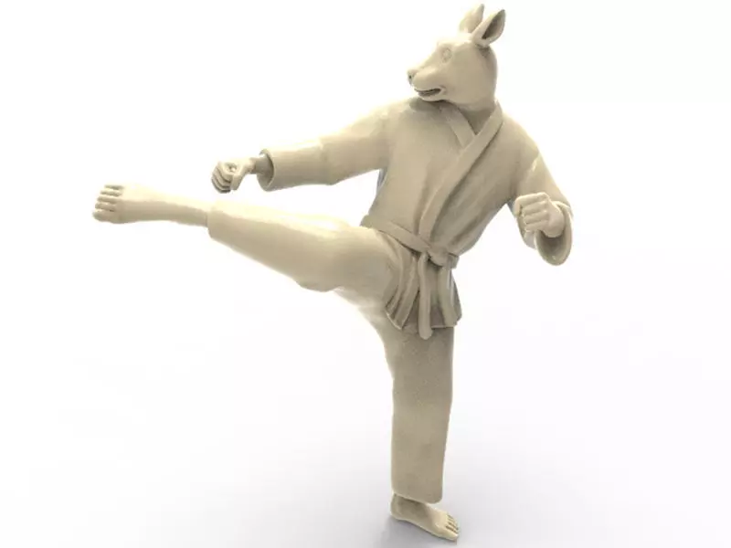Rabbit Roundhouse Kick 3D print model