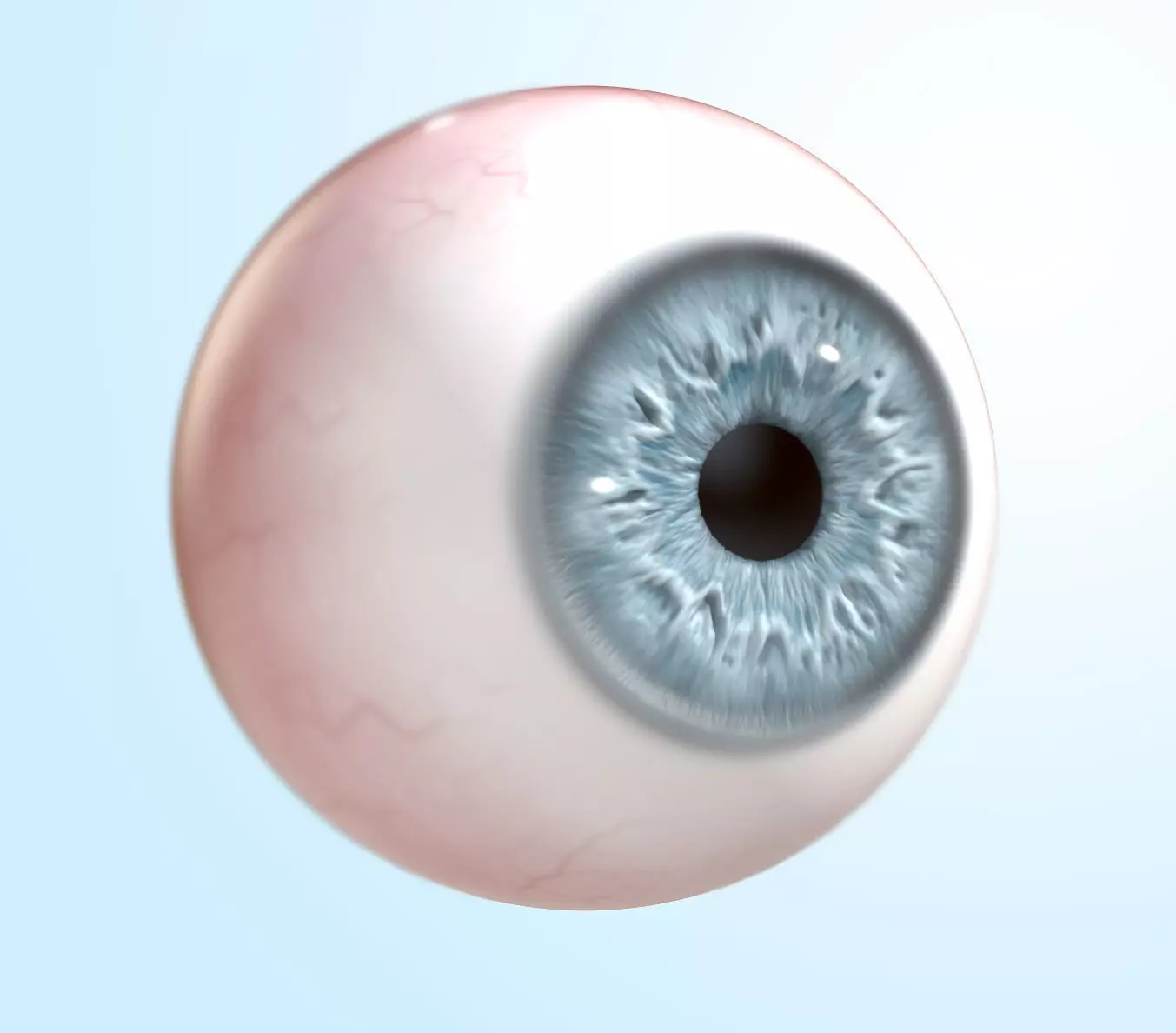 Eyeball eye 3D model