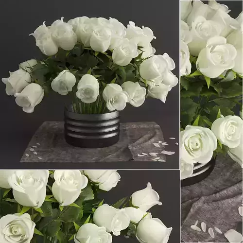 white rose 3D model