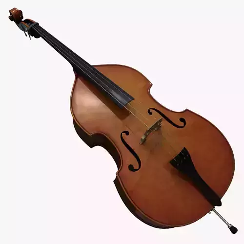 Contrabass double bass