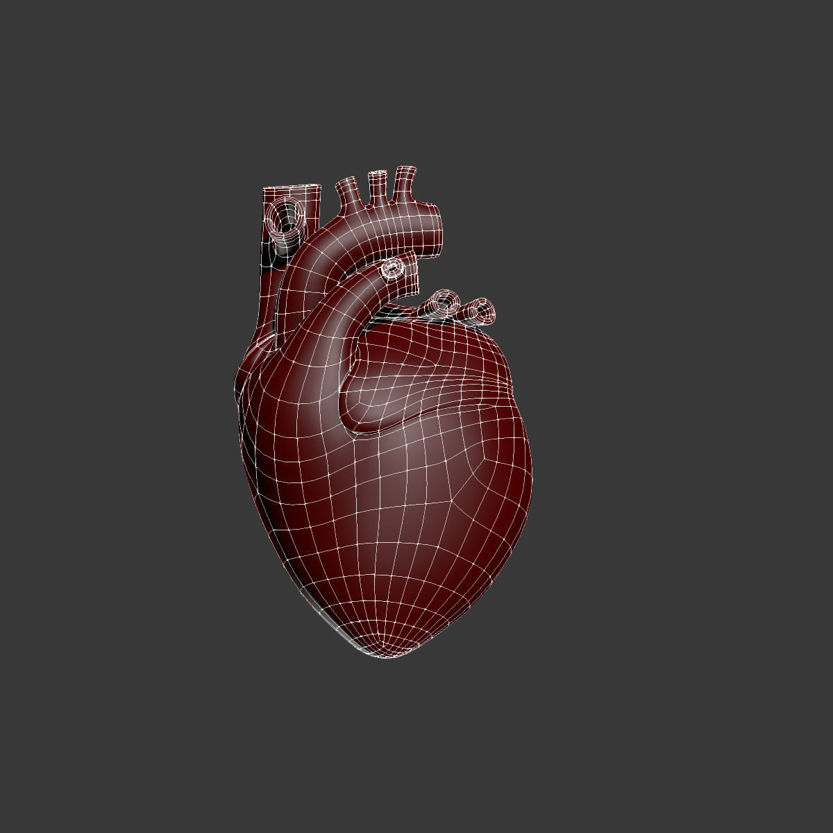 Human Heart 3D model_10