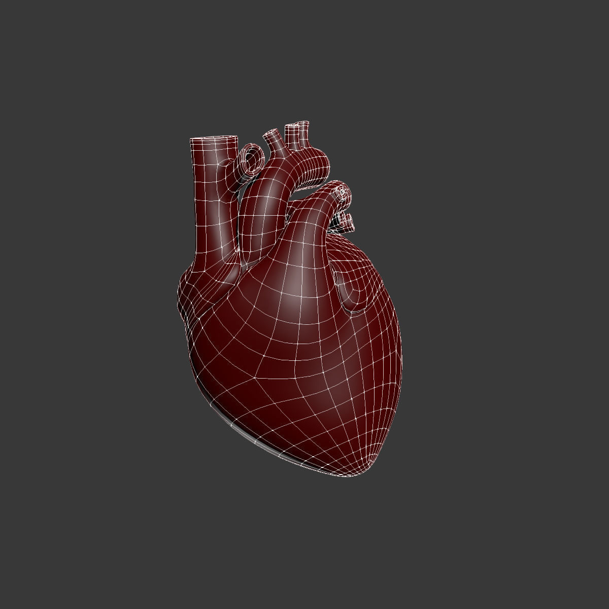 Human Heart 3D model_8