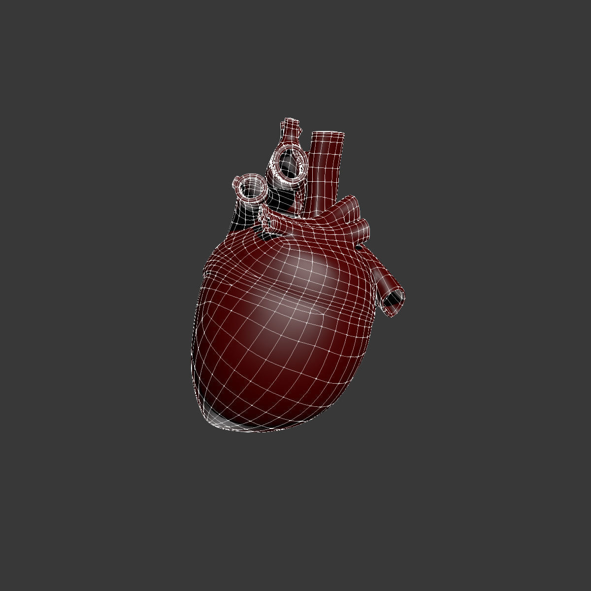 Human Heart 3D model_9