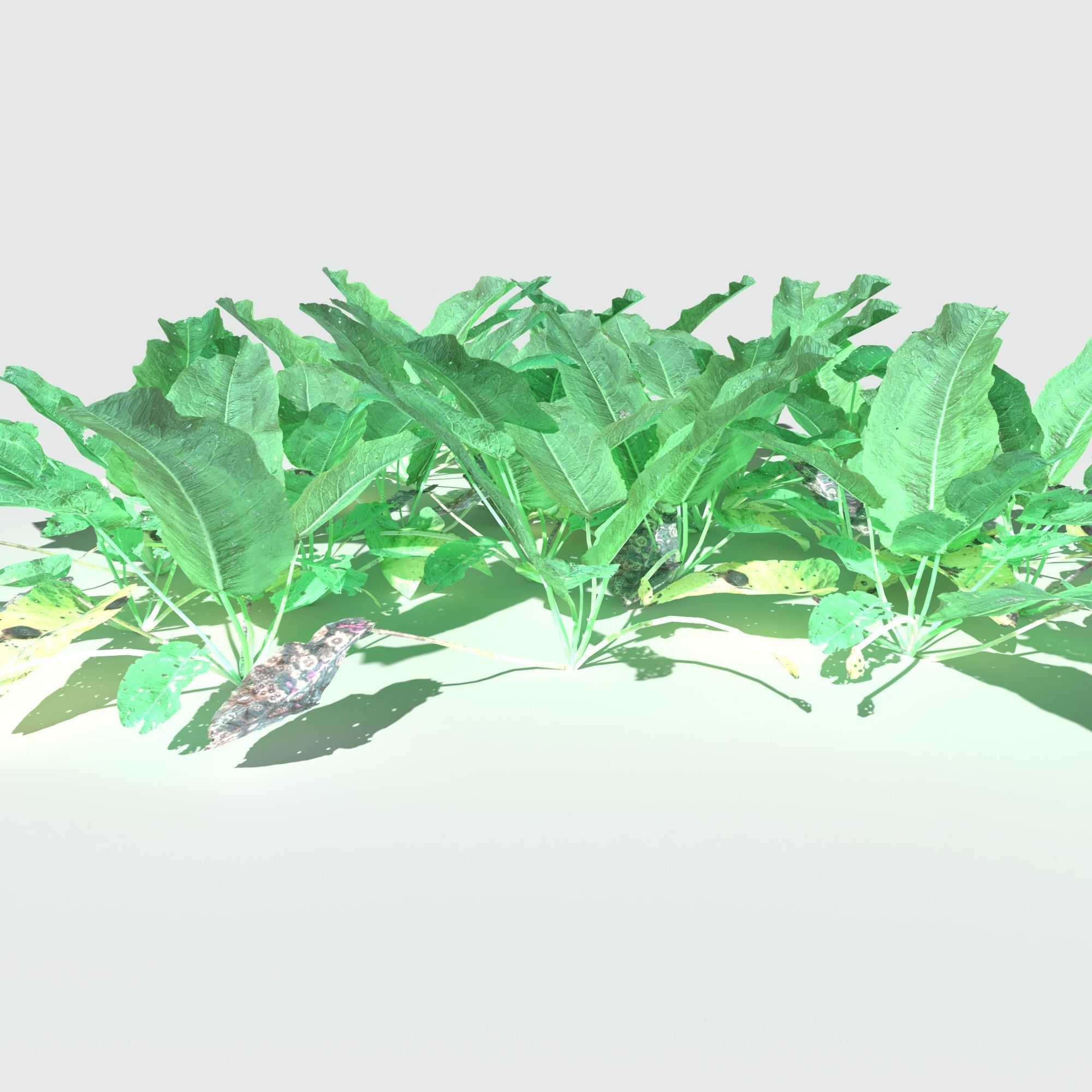 Bitter Dock Pack Low-poly 3D model_2