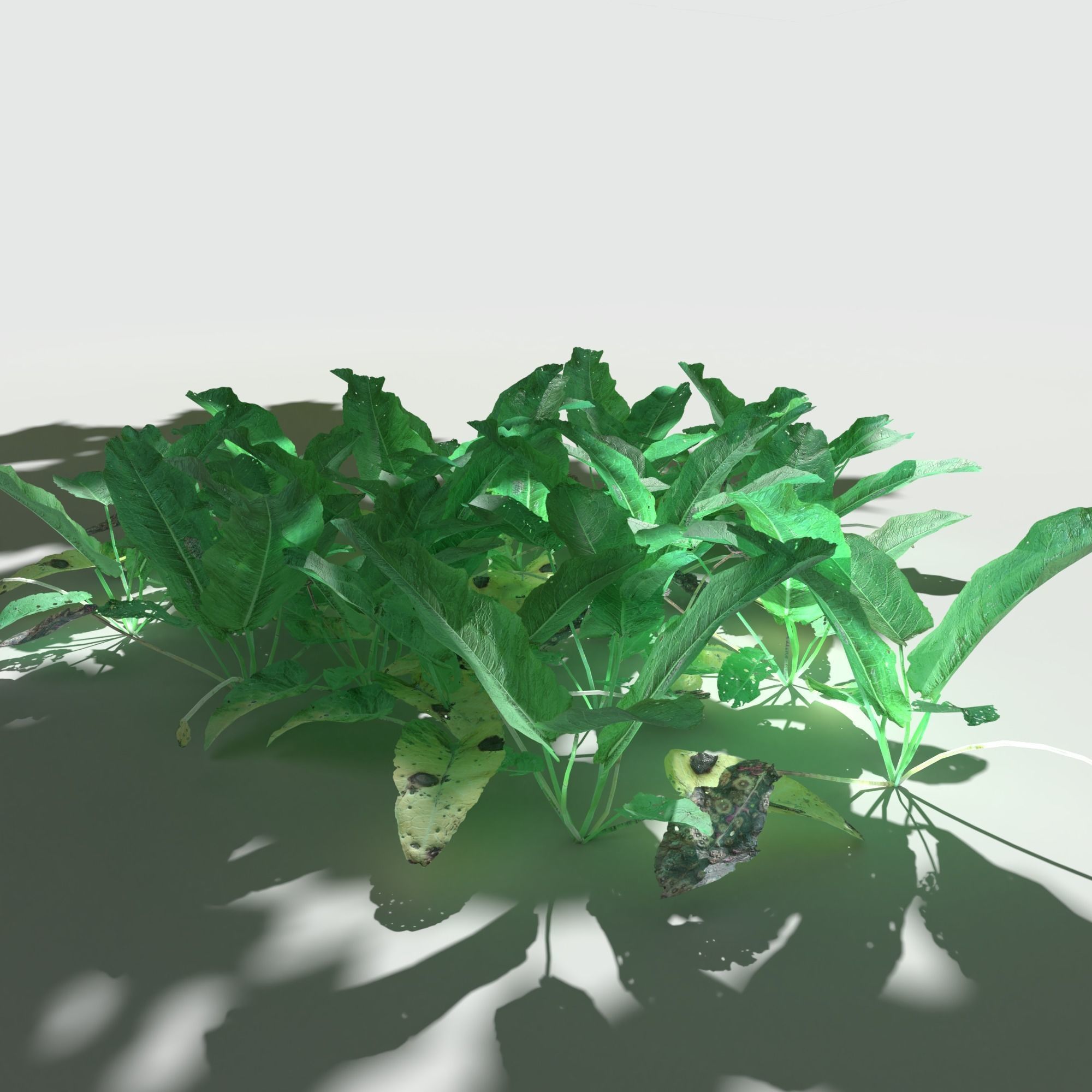 Bitter Dock Pack Low-poly 3D model_1