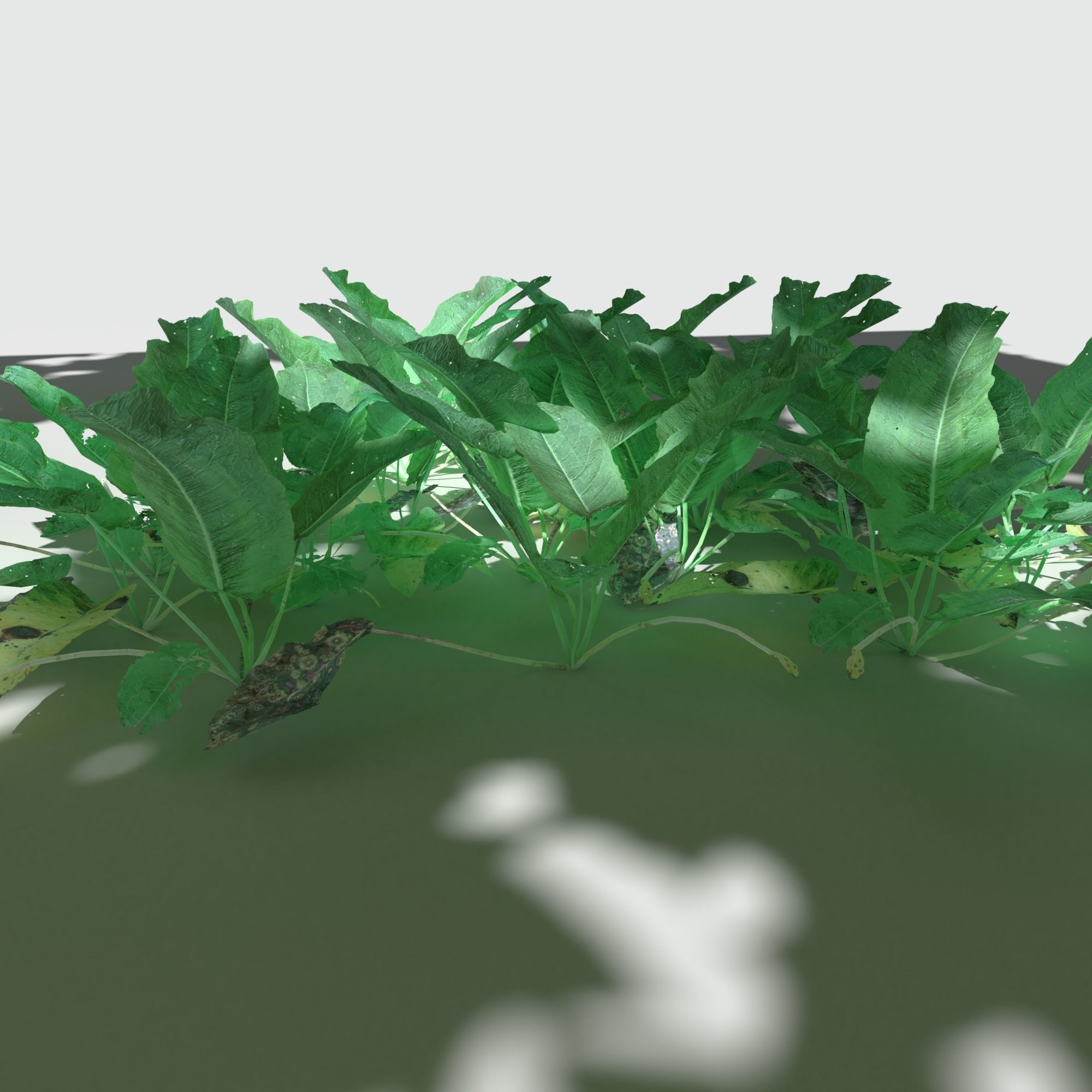 Bitter Dock Pack Low-poly 3D model_3