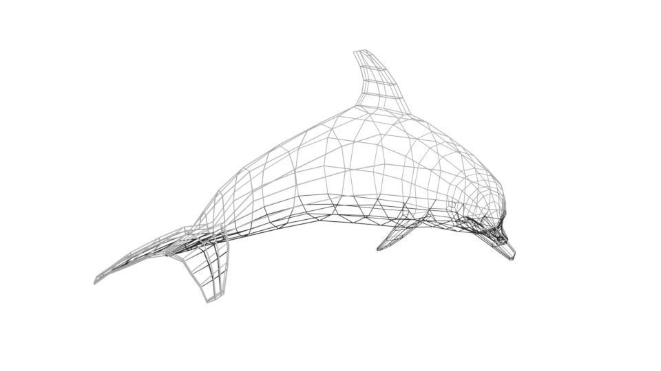 Low Poly Cartoon Dolphin Low-poly 3D model_15
