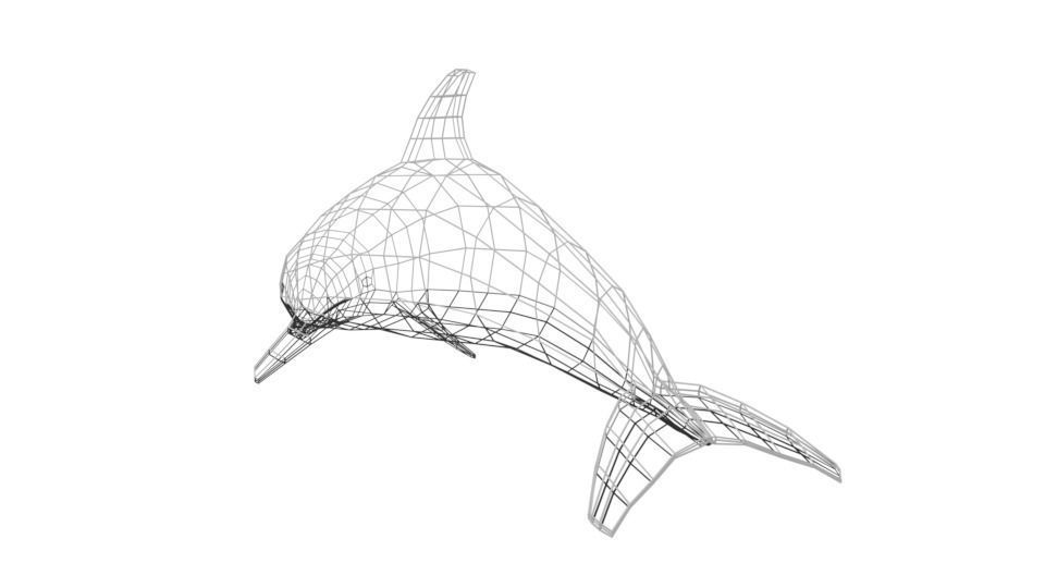 Low Poly Cartoon Dolphin Low-poly 3D model_17