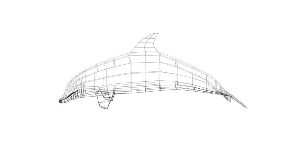 Low Poly Cartoon Dolphin Low-poly 3D model_11