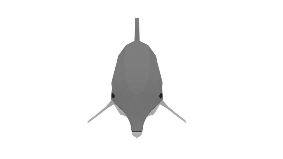 Low Poly Cartoon Dolphin Low-poly 3D model_3