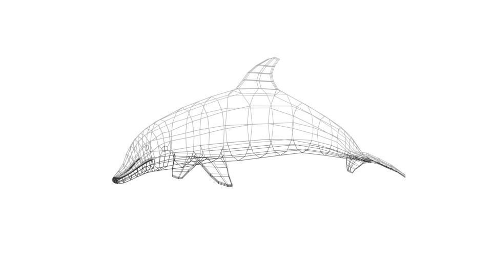 Low Poly Cartoon Dolphin Low-poly 3D model_10