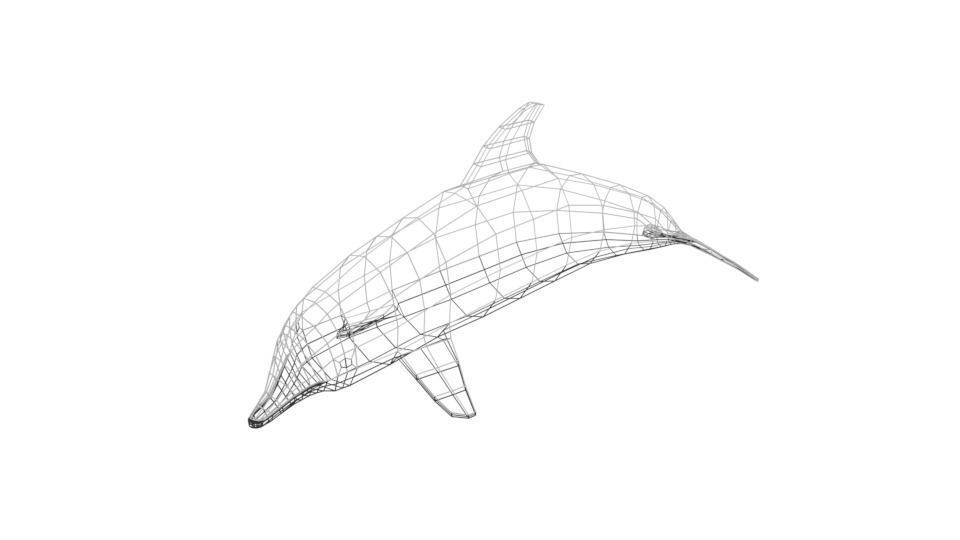 Low Poly Cartoon Dolphin Low-poly 3D model_12