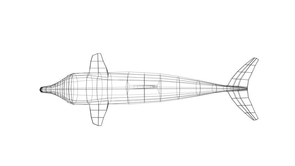 Low Poly Cartoon Dolphin Low-poly 3D model_19