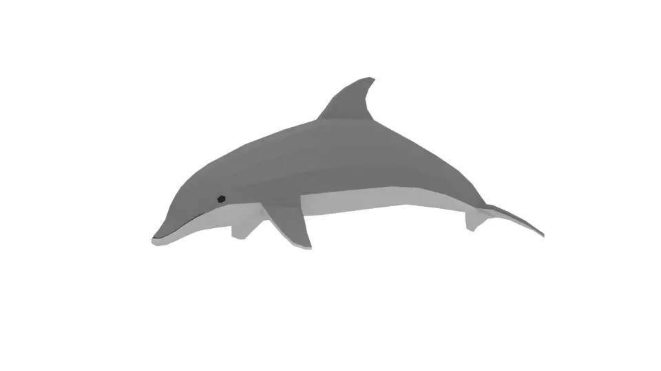 Low Poly Cartoon Dolphin Low-poly 3D model_0