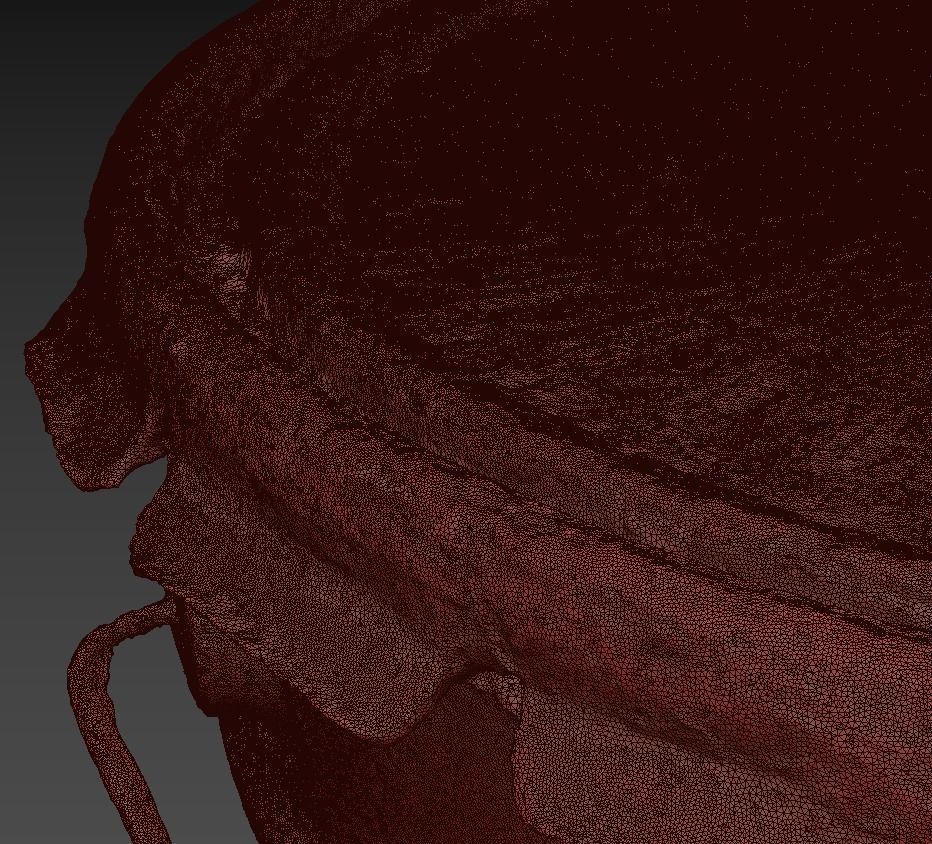 Old Buckets Low-poly 3D model_13